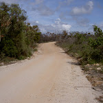 The Basin Track to Aboriginal Engravings (30608)